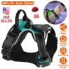 Light Up Dog Harness Rechargeable LED Dog Harness No Pull Lighted Dog Vest with Handle for Small/Medium/Large Dogs